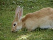 thm_P9130027.jpg